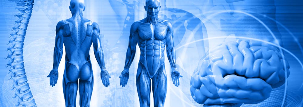 Cos'è la Chiropratica